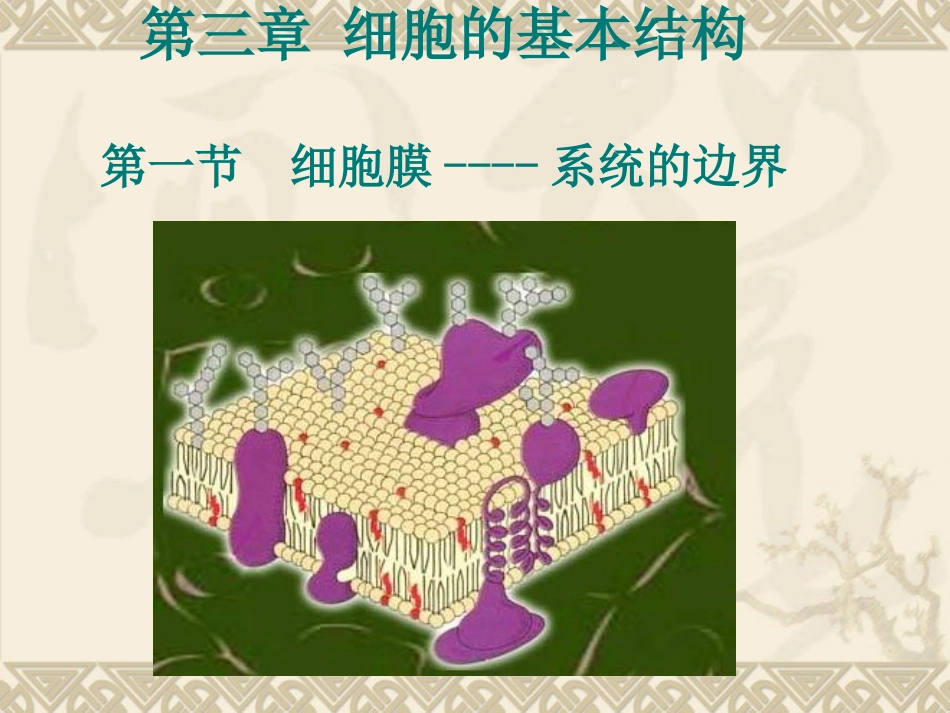 3.1-细胞膜——系统的边界-课件-陶兰芳_第1页