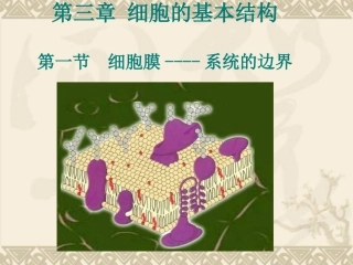3.1-细胞膜——系统的边界-课件-陶兰芳