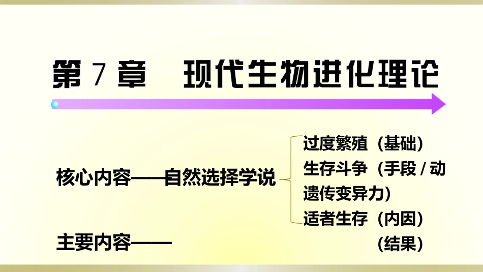 第一节现代生物进化理论_第2页
