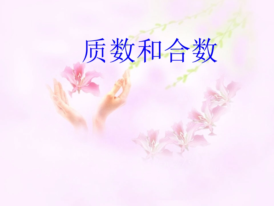 质数和合数-(2)_第1页