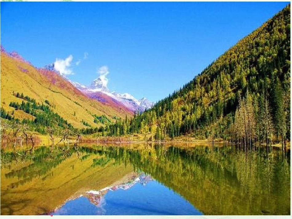 确定位置(一)_第2页