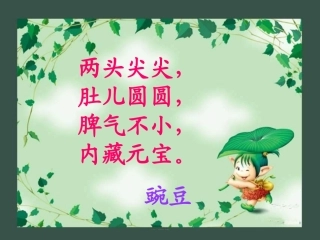 20一颗小豌豆