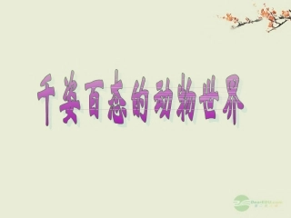 广东省珠海九中八年级生物《动物的主要类群》课件1-北师大版