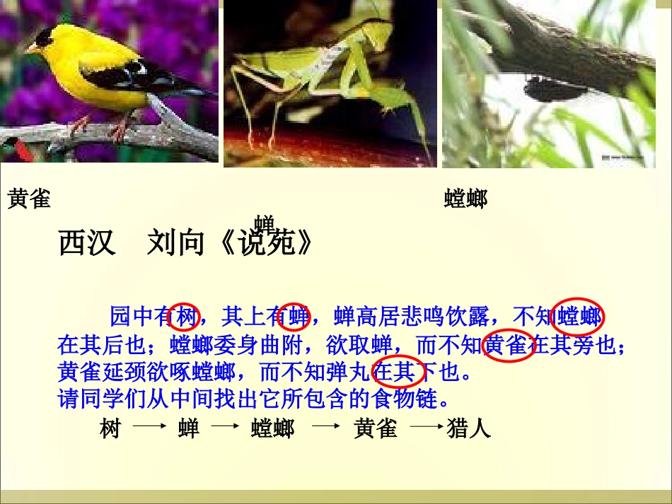 一、系统的基本特性_第2页