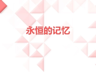 《永恒的记忆》课件2