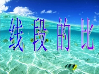 线段的比课时2