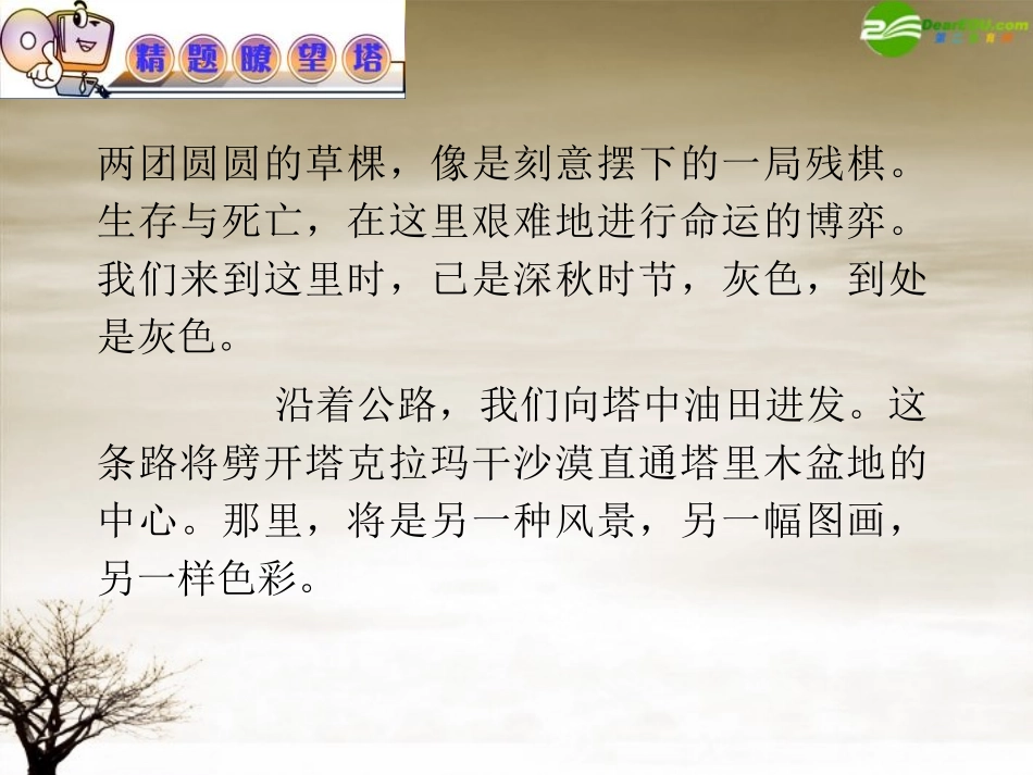 2012届高考语文-专题复习课件4-新人教版_第3页