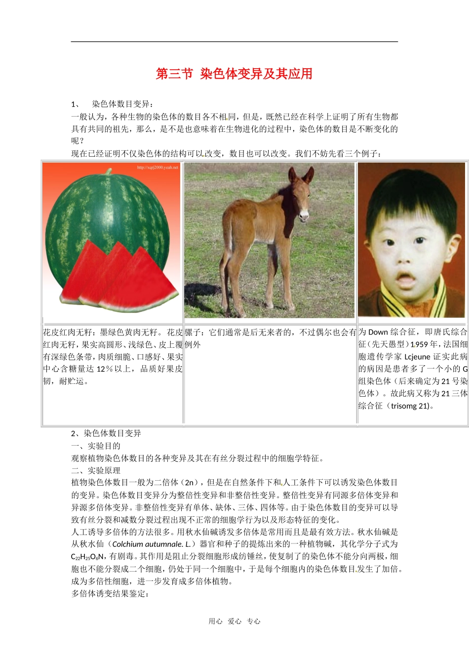 高中生物：-33-染色体变异及其应用(素材)苏教版必修2_第1页