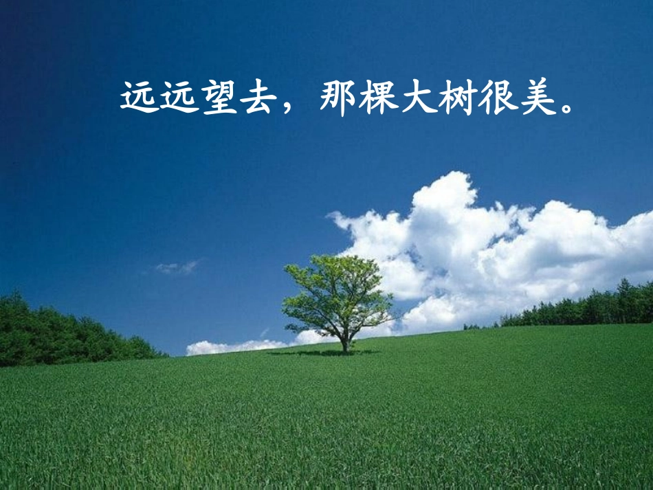 做一片美的叶子PPT课件_第3页
