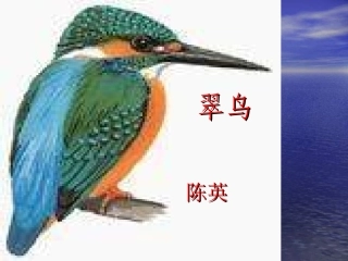 《翠鸟》陈英