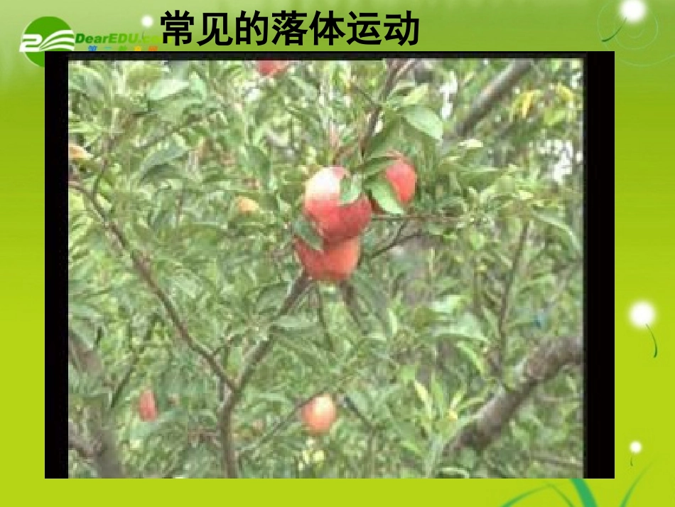 2010年高中物理-第二章自由落体运动-自由落体运动课件-新人教版必修1_第3页