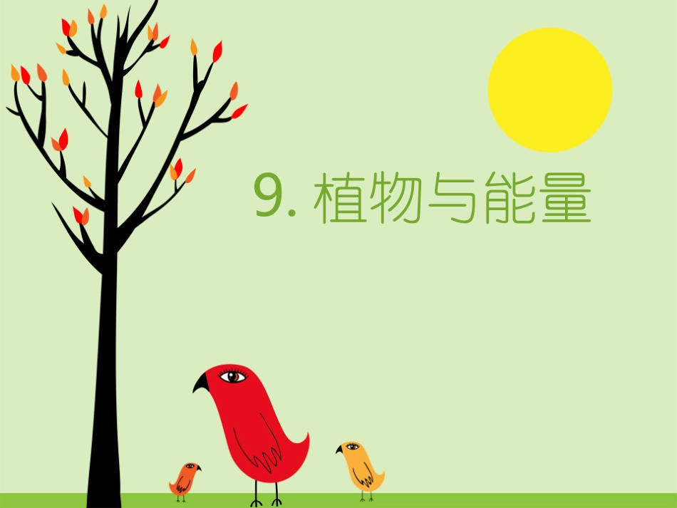 9植物与能量_第2页