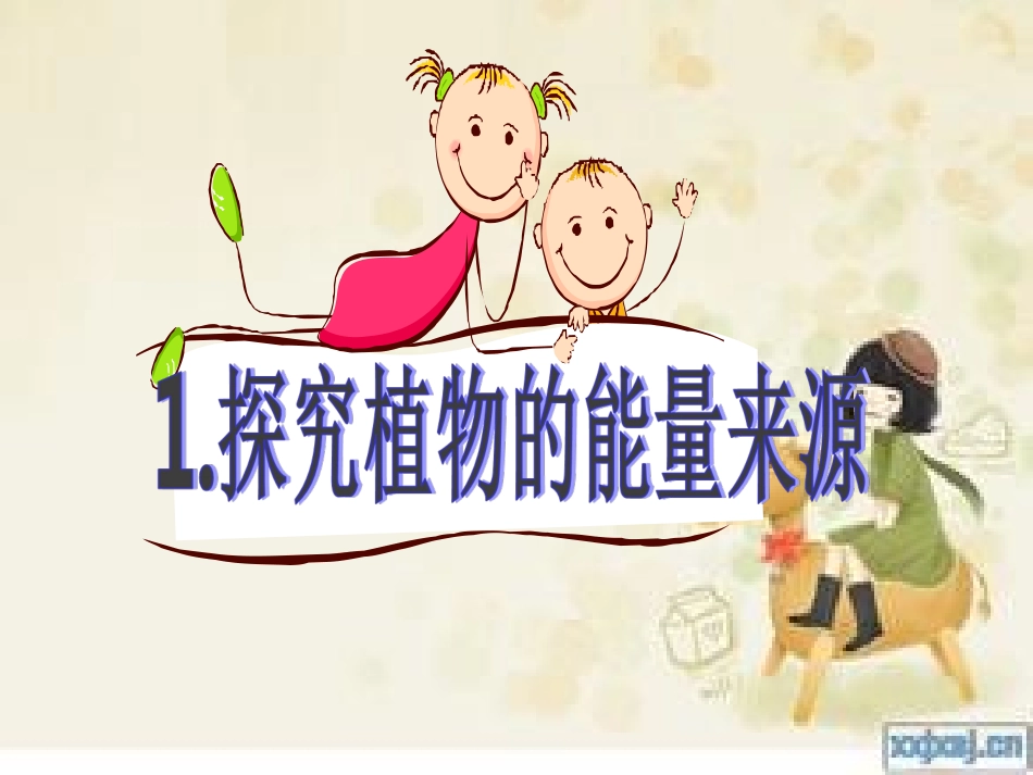 9植物与能量_第3页