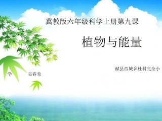 9植物与能量