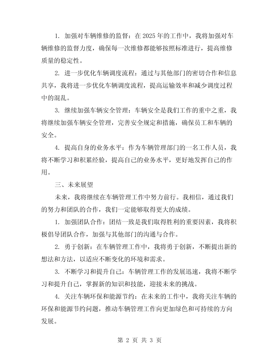 2024车辆管理的工作总结 _第2页