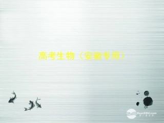 【5年高考3年模拟】(安徽专用)2014高考生物一轮复习-专题24-生态环境的保护配套课件(B版)新人教版