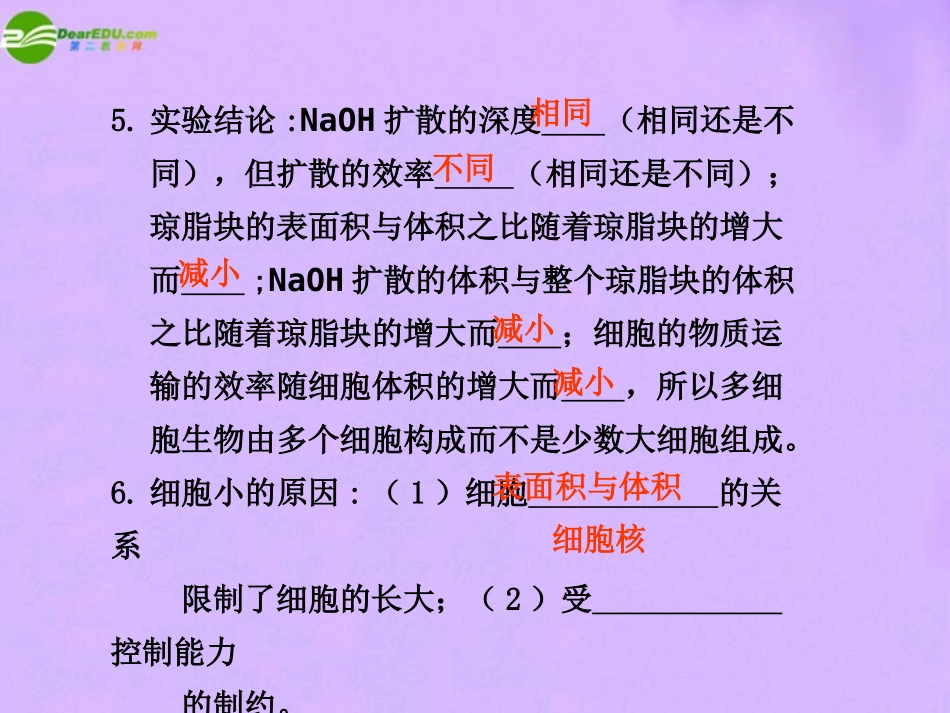 2011届高考生物-考点专题复习课件12_第3页