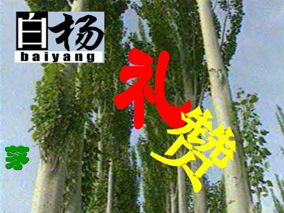 2012年九年级语文秋学期-白杨礼赞课件-语文版_第2页