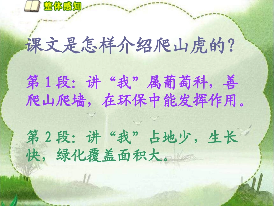 《送你一片绿荫》课文分段_第1页