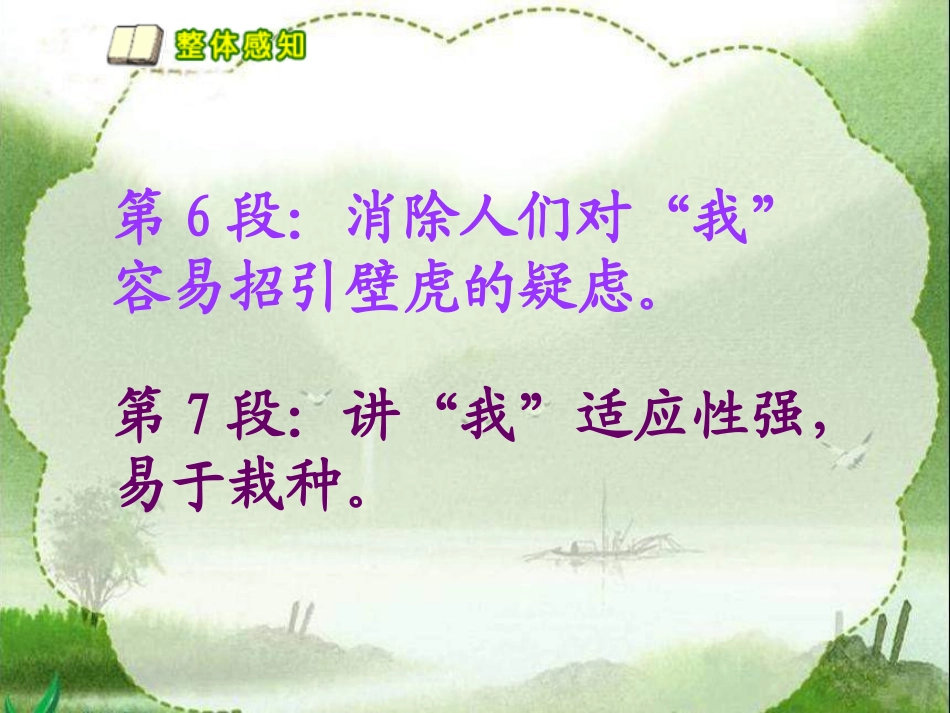 《送你一片绿荫》课文分段_第3页