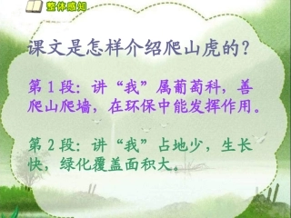 《送你一片绿荫》课文分段