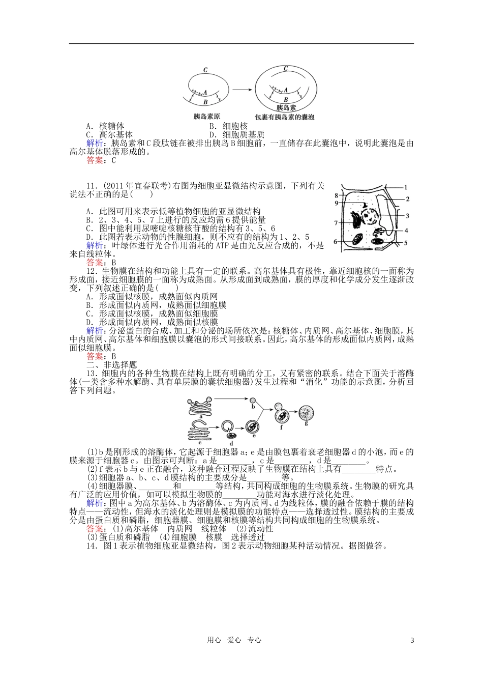 高中生物-3.2细胞器课时知能评估-新人教版必修1_第3页