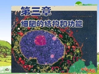 高中生物：生命活动的基本单位细胞-课件苏教版必修1