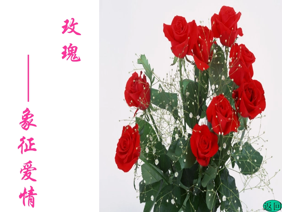 爱莲说1(说课课件)_第3页