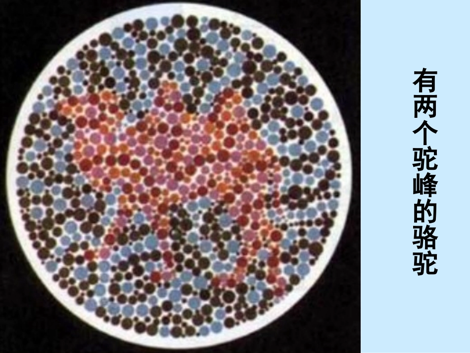 第四节伴性遗传-(2)_第2页