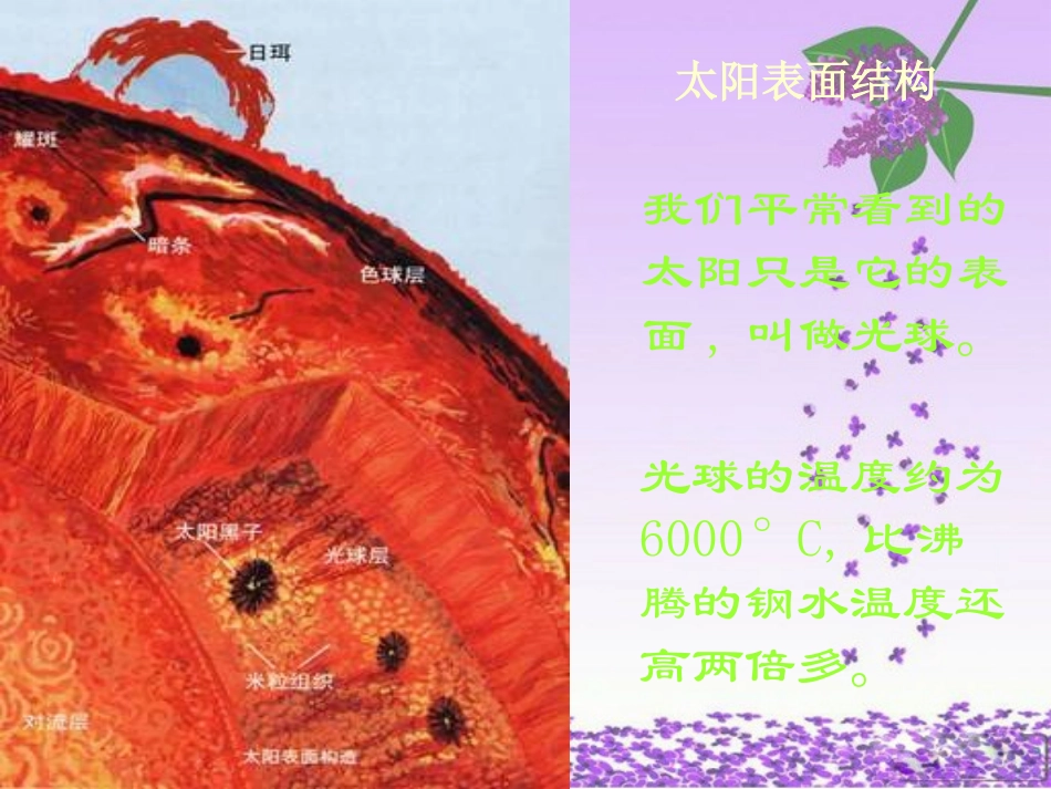 七年级科学上册-第一章第3节最近的恒星-太阳-华师大版_第3页