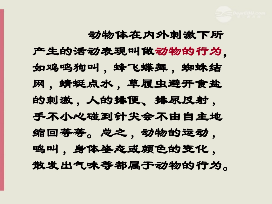 八年级生物上册《先天性行为和后天学习行为》课件1-北师大版_第2页