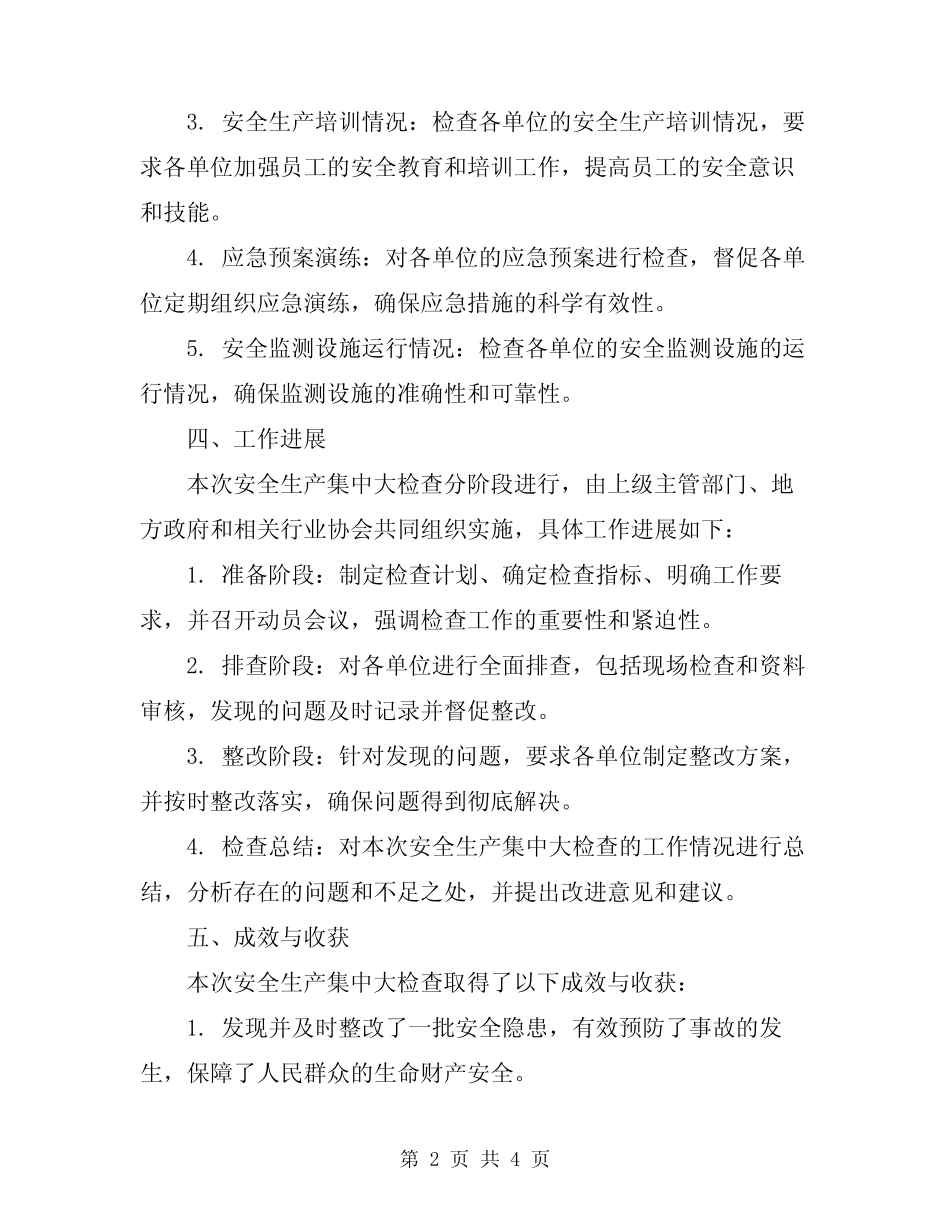 2024年安全生产集中大检查的工作总结_第2页