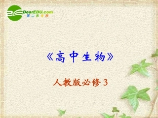 高中生物：-12-内环境稳态的重要性(课件)人教版必修3