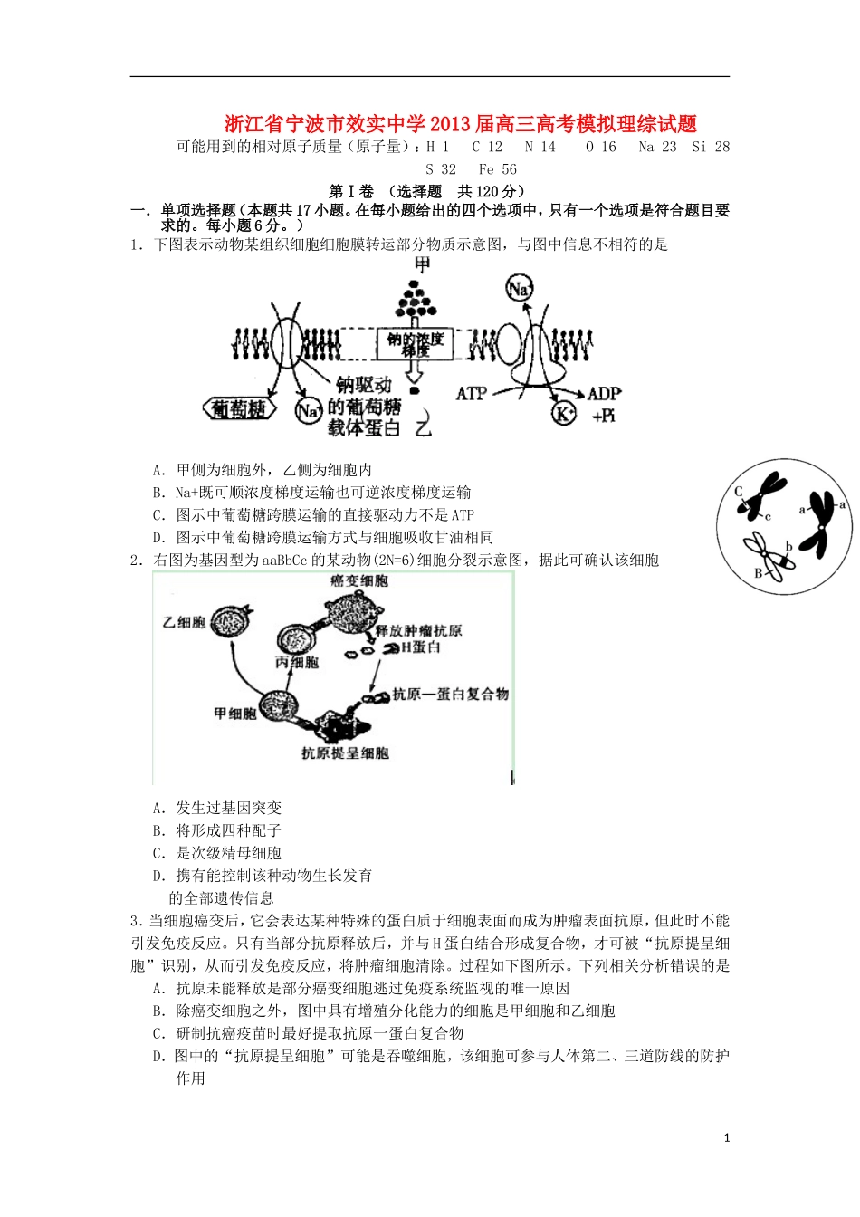 浙江省宁波市效实中学2013届高考理综模拟试题_第1页