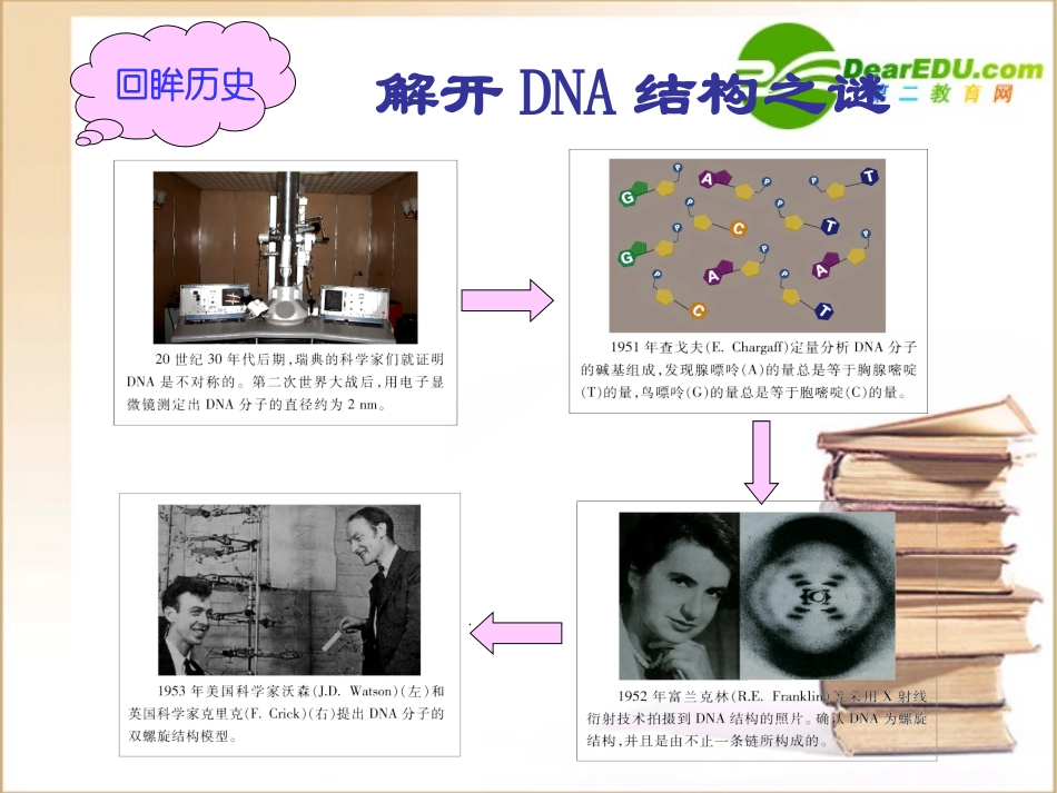 高中生物第二节-DNA的结构和DNA的复制课件苏教版必修2_第2页