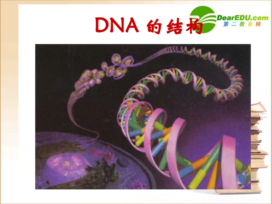 高中生物第二节-DNA的结构和DNA的复制课件苏教版必修2_第3页
