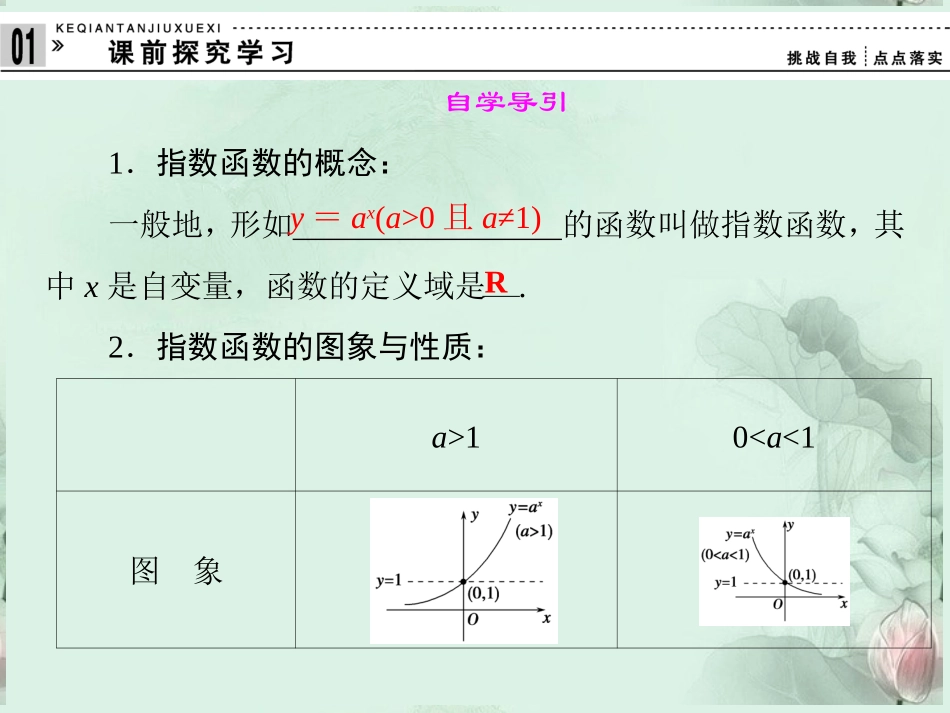(新课程)高中数学-《3.1.2指数函数》课件-新人教B版必修1_第2页
