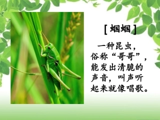送给盲婆婆的蝈蝈(PPT)
