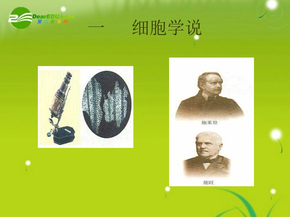 高中生物-2.1《细胞概述》课件-浙教版必修1_第3页