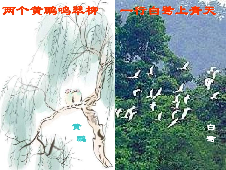 八年级生物上册《动物在生物圈中作用》课件1-北师大版_第2页