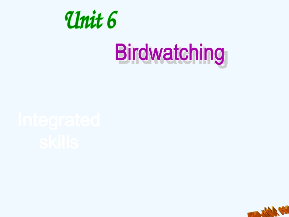 8A-Unit-6-Birdwatchers-Integrated-skills_第1页