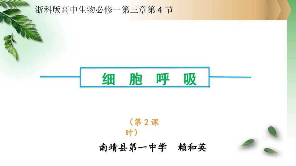 第四节细胞呼吸-(3)_第1页