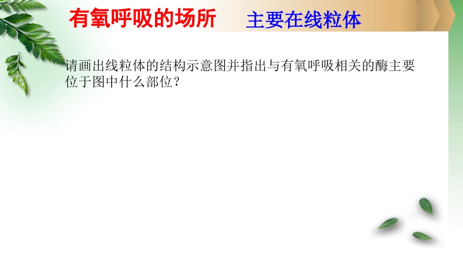 第四节细胞呼吸-(3)_第2页