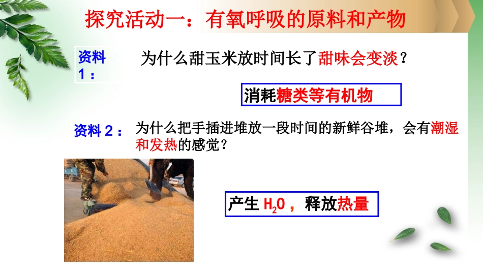 第四节细胞呼吸-(3)_第3页