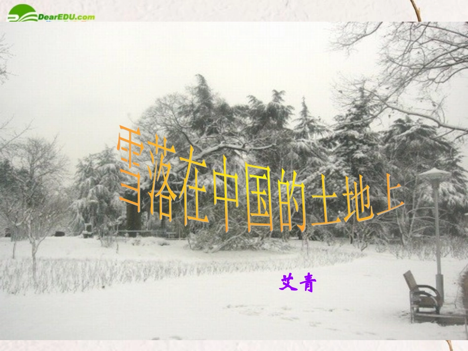 高中语文-2.5《雪落在中国的土地上》课件1-粤教版必修2_第2页