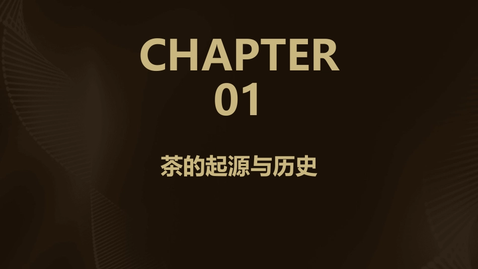 2024年《茶与茶文化》ppt课件_第3页