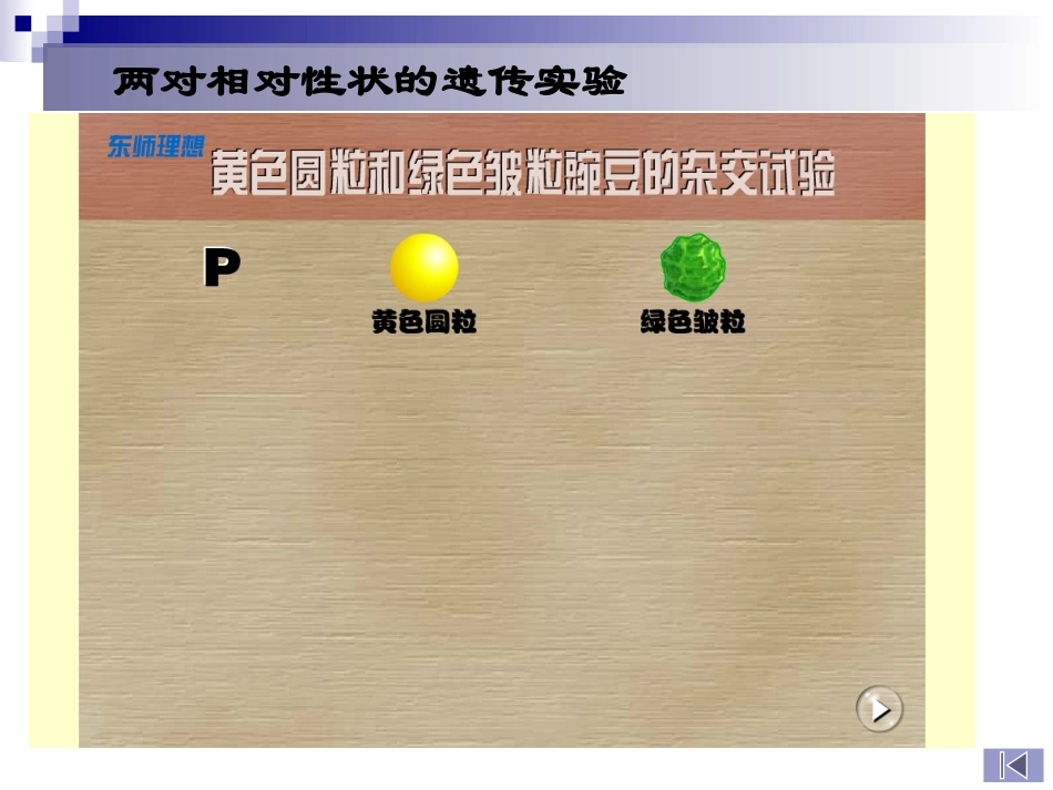 科学家访谈-探索生物大分子的奥秘-(4)_第3页