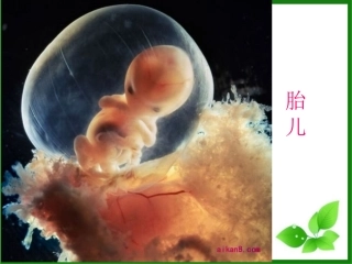 细胞通过分裂产生新细胞2.