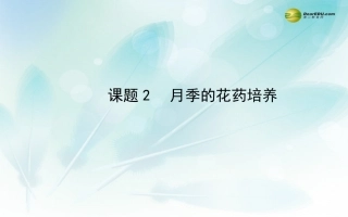 课题2-月季的花药培养-(2)