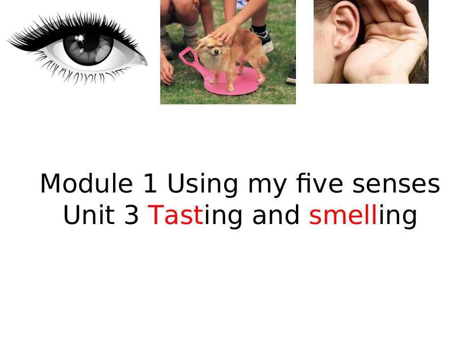 Unit3Tastingandsmelling_第1页